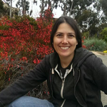 Icon for: Michelle Palmer