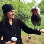 Icon for: Traci Higgins