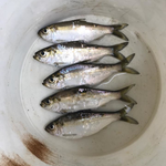 Icon for: Greg Garman